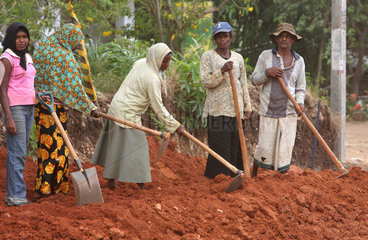 Matale  Sri Lanka  Strassenbauarbeiten ausgefuehrt von Frauen