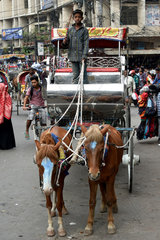 BANGLADESH-DHAKA-HORSE-DRAWN-CARRIAGE