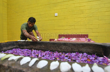 Wadduwa  Sri Lanka  ein Blumenbad wird mit Blueten dekoriert