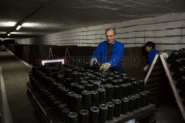 Republik Moldau  Weinkellerei Cricova SA  Arbeiter sortiert abgefuellte Flaschen von Schaumweinen fuer die Lagerung