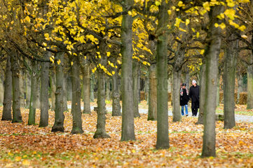 Berlin  Deutschland  ein Paar spaziert im Herbst durch einen Park