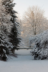 Berlin  Deutschland  schneebedeckte Straeucher und Baeume