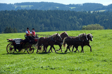 St. Maergen  Deutschland  Maenner auf einer Pferdekutsche am traditionellen Rosstag