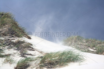 Amrum  Sand wird vom Wind von einer Duene geweht