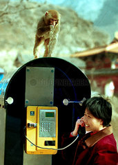(MOMENTS FOREVER)CHINA-TELECOM-DEVELOPMENT (CN)