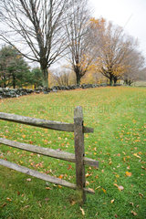 Connecticut  Herbstimpressionen in einem Park