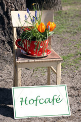 Birkholz  Deutschland  Schild Hofcafe mit Stuhl und Blumen