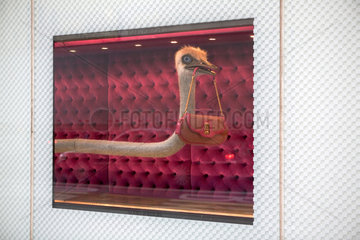 New York City  USA  Schaufenster des Modelabels Louis Vuitton