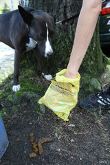 Berlin  Deutschland  eine Frau entsorgt Hundekot mit einem Plastikbeutel