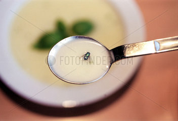 Fliege in der Suppe