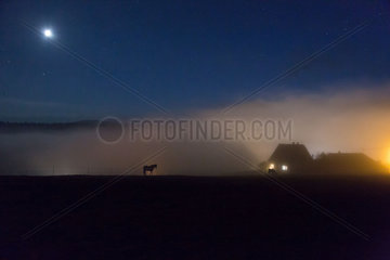 Frankreich  Bauernhaus mit Pferd in der Nacht im Elsass in die Nordvogesen