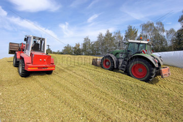 Hamm  Deutschland  Traktoren verdichteen die Maissilage