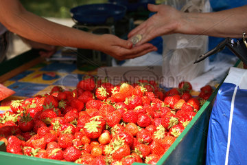 Posen  Erdbeeren an einem Marktstand
