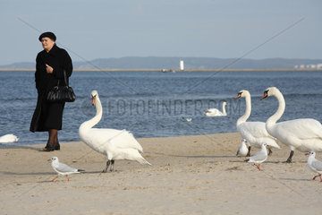 Swinemuende  Polen  Rentnerin am Strand mit Schwaenen