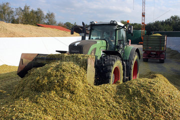 Hamm  Deutschland  Traktor verdichtet die Maissilage fuer die Biogasproduktion