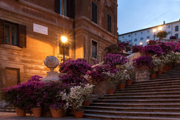 Rom  Italien  Blumen an der Spanischen Treppe