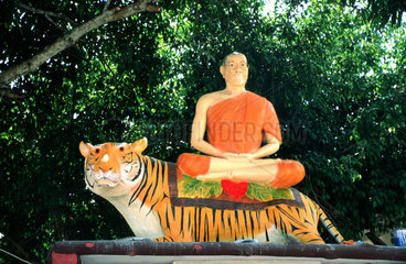 Moench Tiger Buddhismus