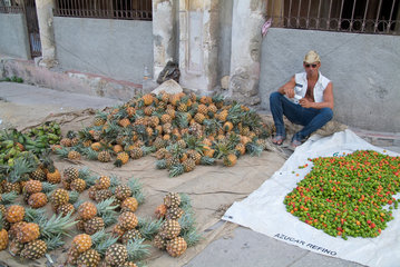 Havanna  Kuba  privater Obst- und Gemueseverkauf in Luyano
