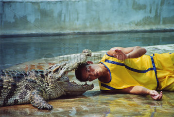 Thailand Krokodilshow  gefaehrlich
