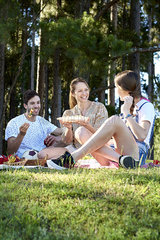 Family enjoying food during picnic