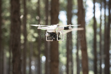 Drone flying in forest