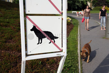 Marienbad  Tschechische Republik  Hundeverbotsschild
