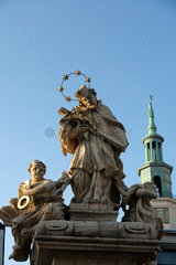 Posen  Polen  Denkmal des Heiligen Johannes von Nepomuk