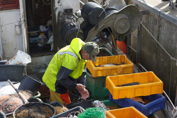 Eckernfoerde  Deutschland  Kuestenfischer verkaufen fangfrischen Fisch direkt vom Fischerboot