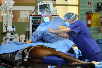 Berlin  Deutschland  OP-Schwester macht ein Foto waehrend einer Operation