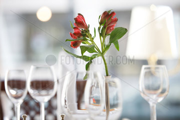 Berlin  Deutschland  Blume in einer Vase auf einem gedeckten Tisch