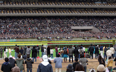 Tokio  Japan  Zuschauer am Tag des Japan Cup auf der Galopprennbahn Fuchu
