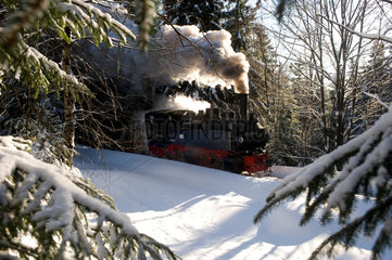 Schierke  Deutschland  die Brockenbahn faehrt durch den winterlichen Harz