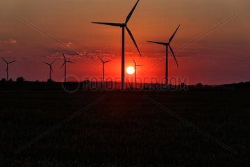 Zehdenick  Deutschland  Windpark im Sonnenuntergang