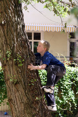 Berlin  Deutschland  Junge klettert auf einen Baum