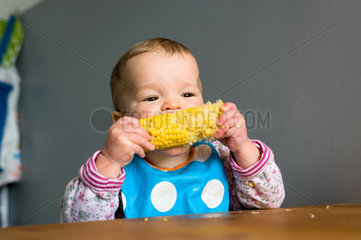 Berlin  Deutschland  16 Monate altes Baby isst einen Maiskolben
