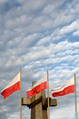 Posen  Polen  Fahnen wehen vor dem Denkmal des Posener Aufstandes am Tag der Unabhaengigkeit