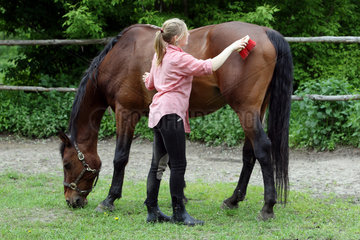 Muehlenbeck  Deutschland  Maedchen buerstet ihr Pferd