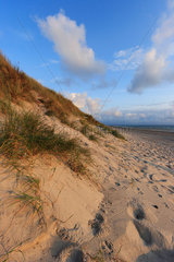 Hvide Sande  Daenemark  Duene und Strand