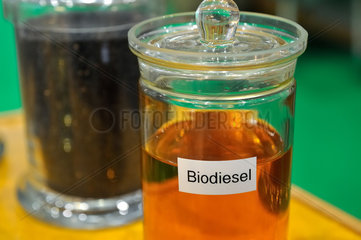 Leipzig  Deutschland  ein Glas mit Biodiesel