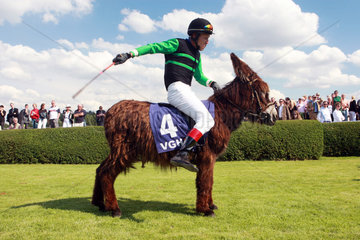 Hannover  Deutschland  Jockey versucht einen Poitou-Esel in Gang zu bringen