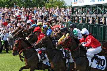 Hannover  Deutschland  Pferde und Jockeys beim Start zu einem Galopprennen