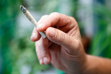 Sevilla  Spanien  Marihuanazigarette in einer Hand