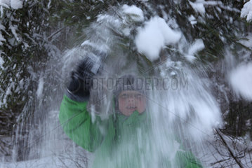 Neuenhagen  Deutschland  Junge schuettelt im Wald Schnee von den Zweigen einer Tanne