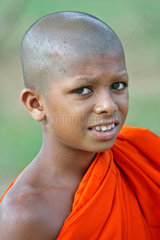 Sigiriya  Sri Lanka  Portraet eines buddhistischen Klosterschuelers