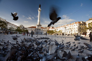 Lissabon  Portugal  wegfliegende Tauben auf dem Praca de Dom Pedro IV.