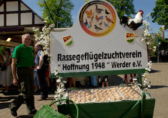 Werder (Havel)  Deutschland  Eierstand eines Gefluegelzuchtvereins