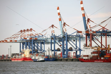 Bremerhaven  Deutschland  Schiffe am Container-Terminal