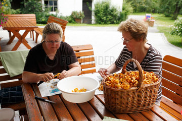 Afritz am See  Oesterreich  zwei Frauen putzen Pilze