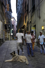 Genua  Italien  Menschen in einer schmalen Gasse in der Altstadt