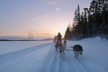 Aekaeskero  Finnland  Menschen machen eine Fahrt mit Hundeschlitten